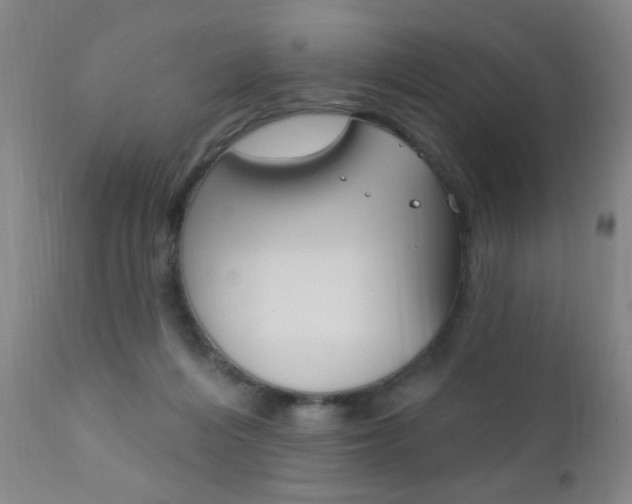 X0000110940216200906191058