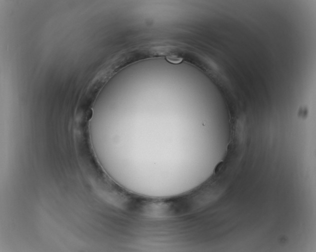 X0000110940217200906191058