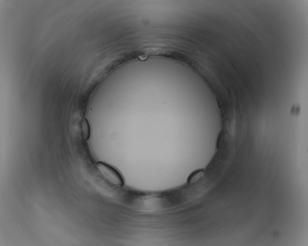 X0000110940219200906191058