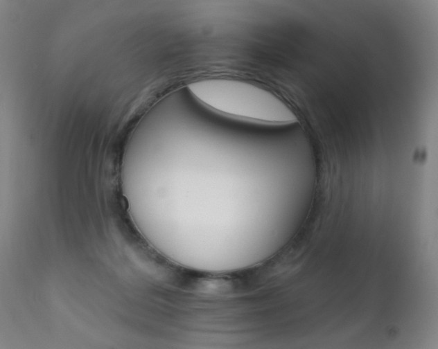 X0000110940220200906191058