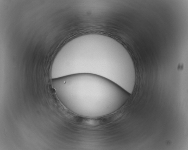 X0000110940221200906191058