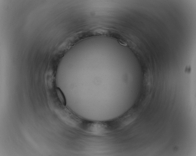 X0000110940223200906191058