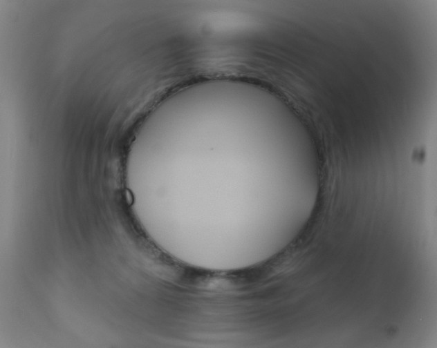 X0000110940224200906191058