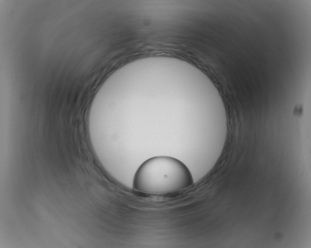 X0000110940225200906191058
