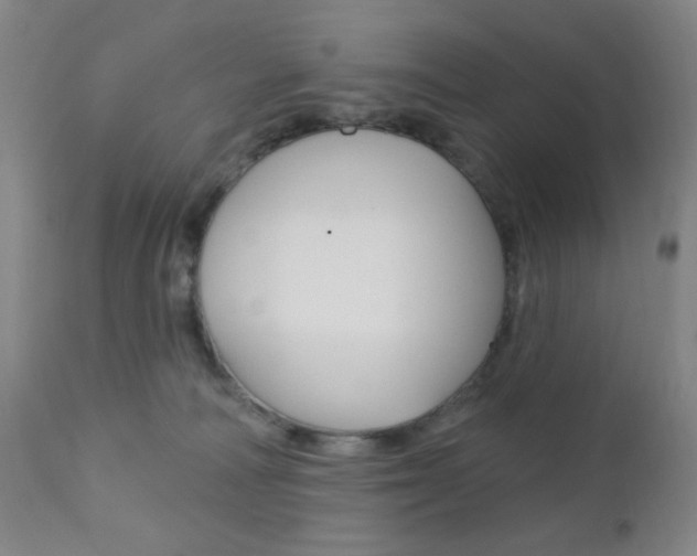 X0000110940226200906191058