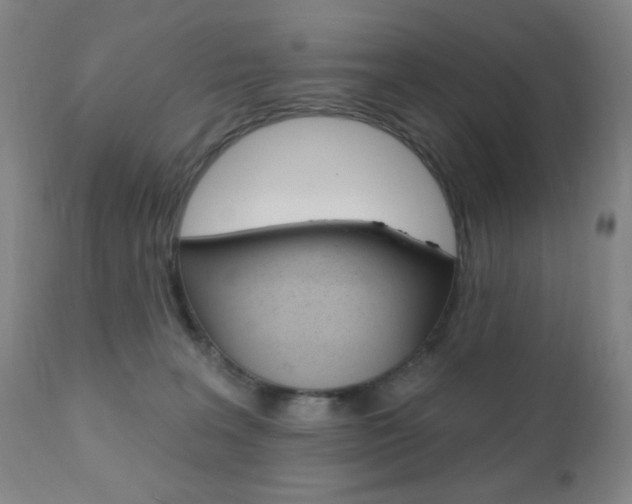 X0000110940227200906191058