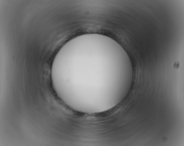 X0000110940228200906191058
