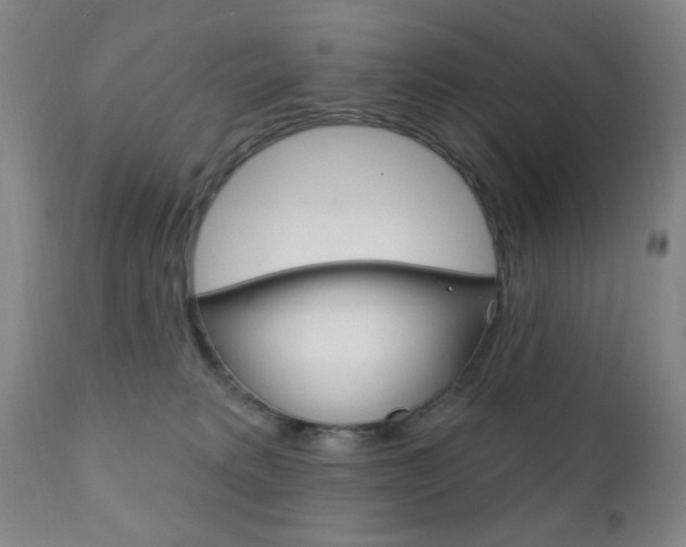 X0000110940229200906191057