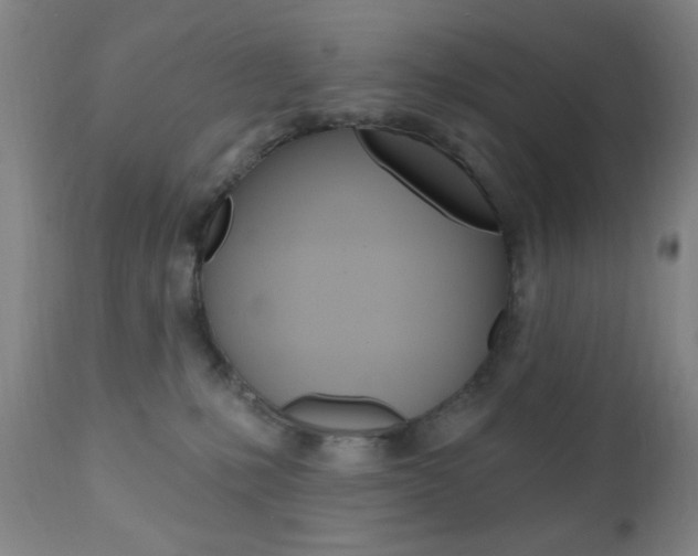X0000110940231200906191057