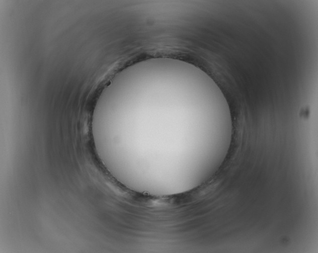 X0000110940232200906191057