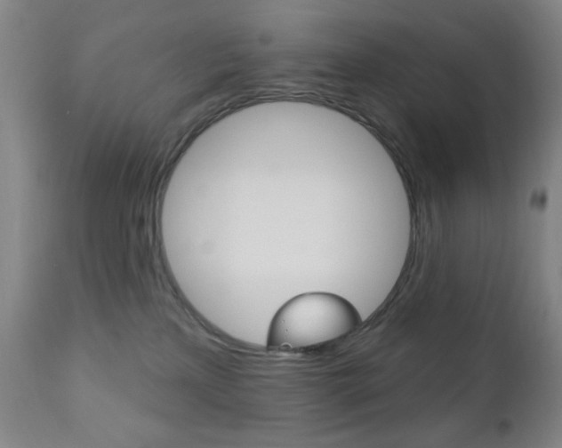 X0000110940233200906191057