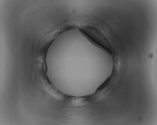 X0000110940235200906191057