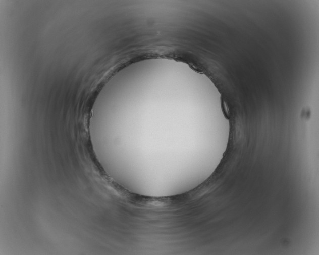 X0000110940236200906191057