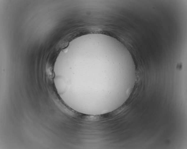 X0000110940238200906191057