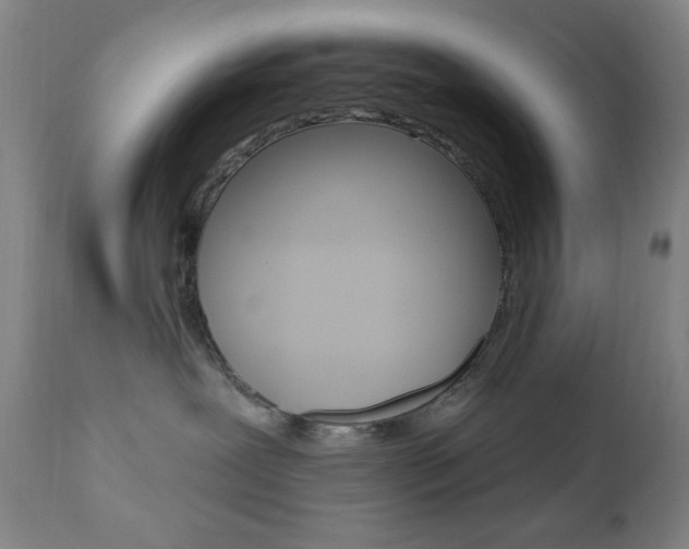 X0000110940239200906191057