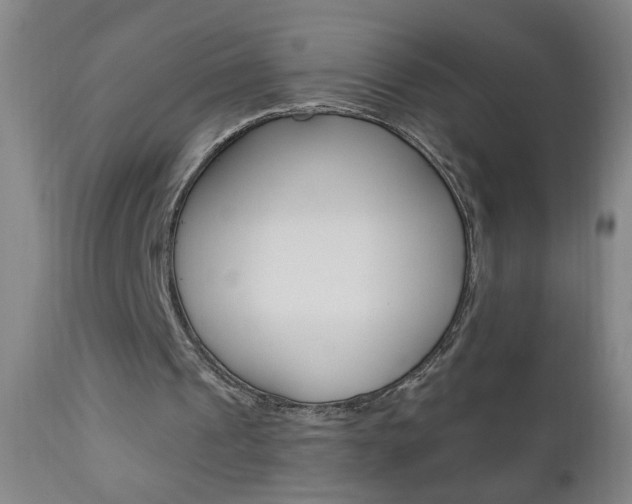 X0000110940241200906191057
