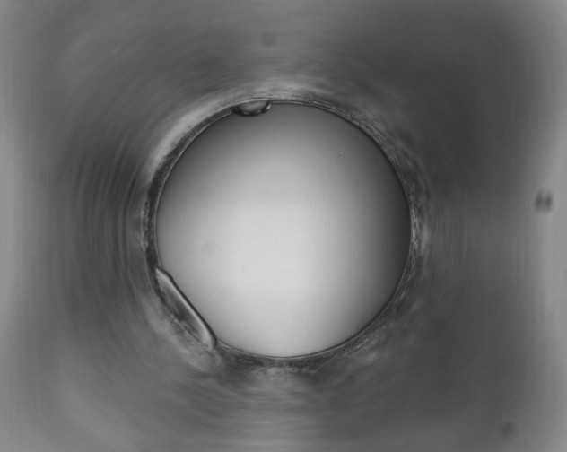 X0000110940244200906191057