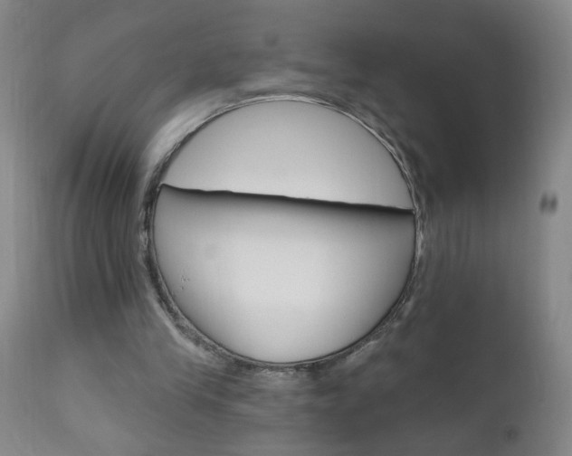 X0000110940245200906191057