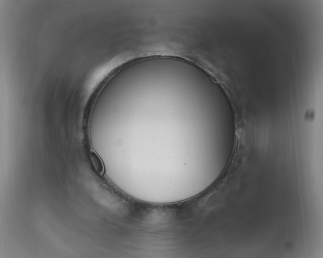 X0000110940248200906191057