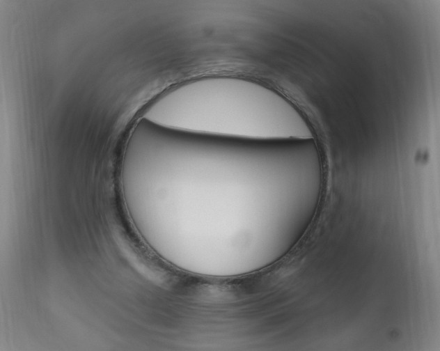 X0000110940250200906191057