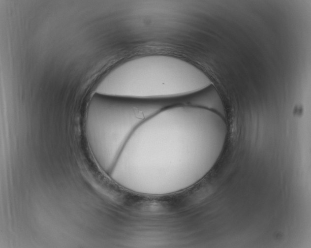 X0000110940254200906191057
