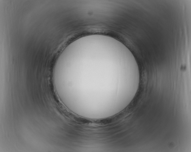 X0000110940255200906191057