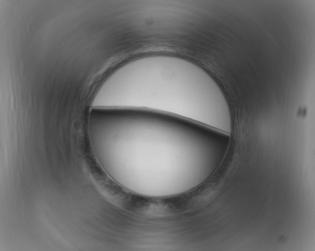 X0000110940256200906191057
