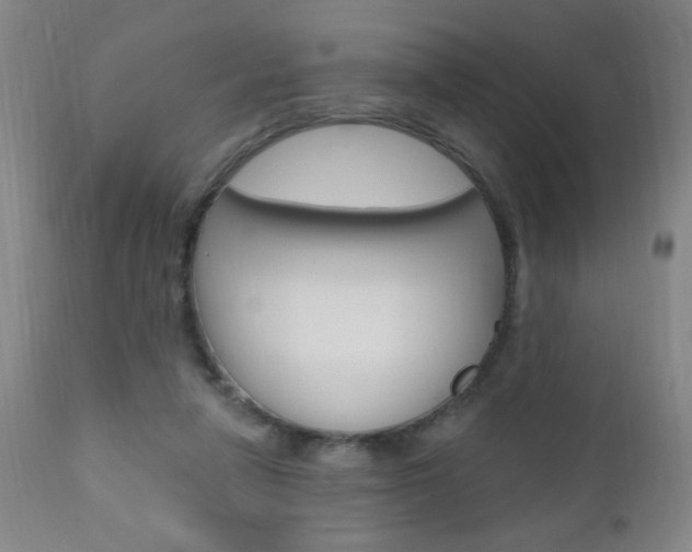 X0000110940258200906191057