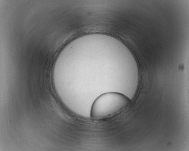 X0000110940264200906191057