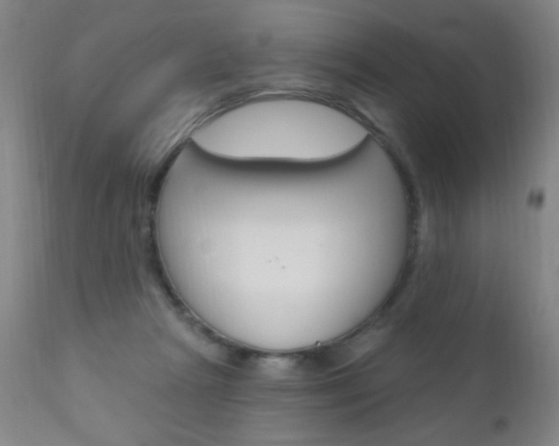 X0000110940265200906191057