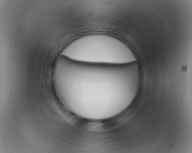 X0000110940266200906191057