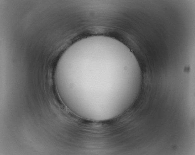X0000110940267200906191057
