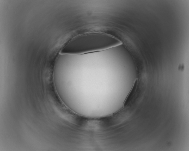 X0000110940268200906191057