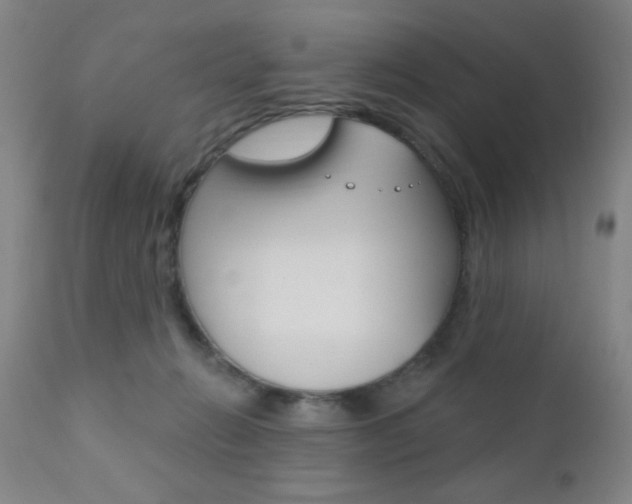 X0000110940270200906191057
