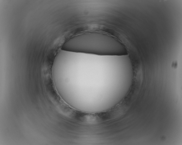 X0000110940272200906191057