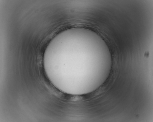 X0000110940274200906191057
