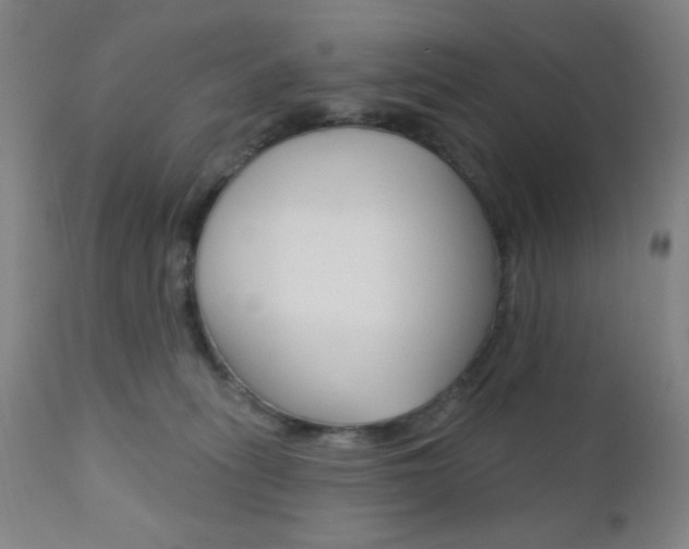 X0000110940275200906191057