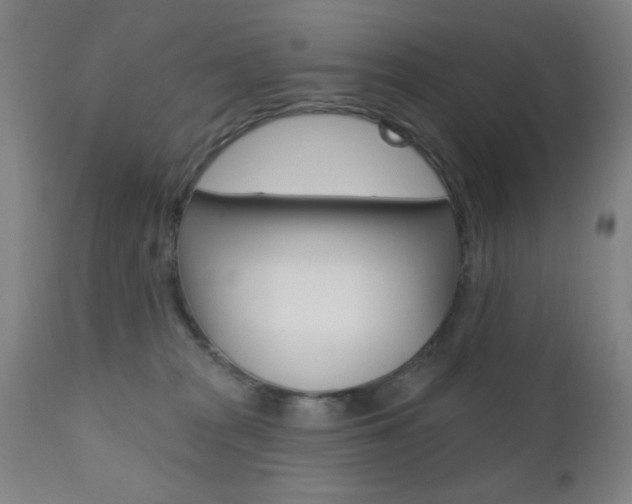 X0000110940277200906191057