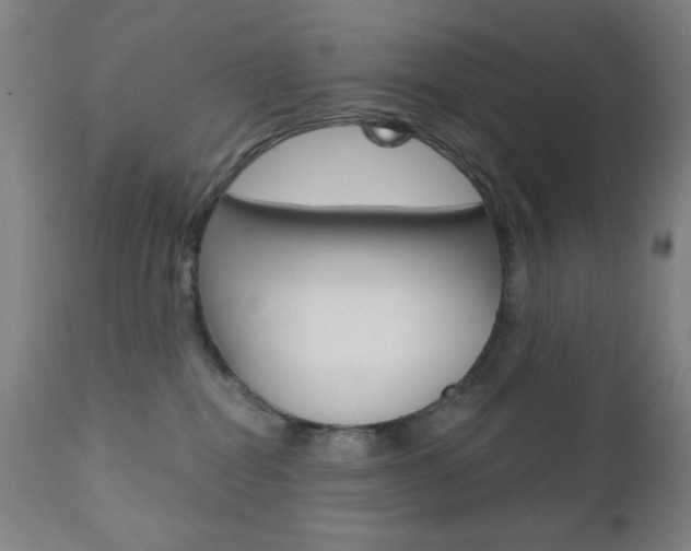 X0000110940282200906191057