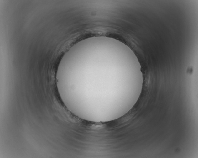 X0000110940283200906191057