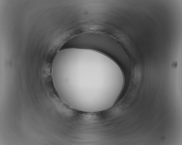 X0000110940284200906191057