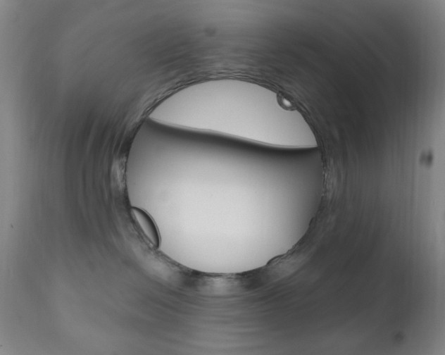X0000110940286200906191057