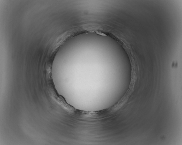 X0000110940288200906191057