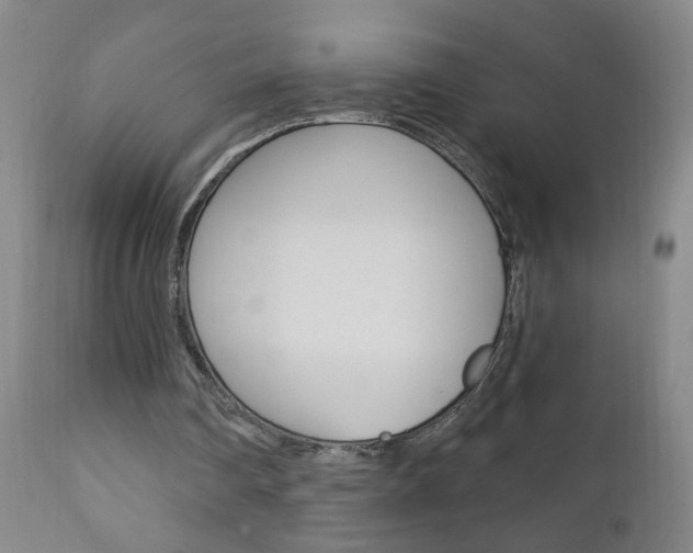 X0000110940290200906191057