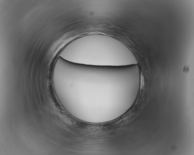 X0000110940291200906191057