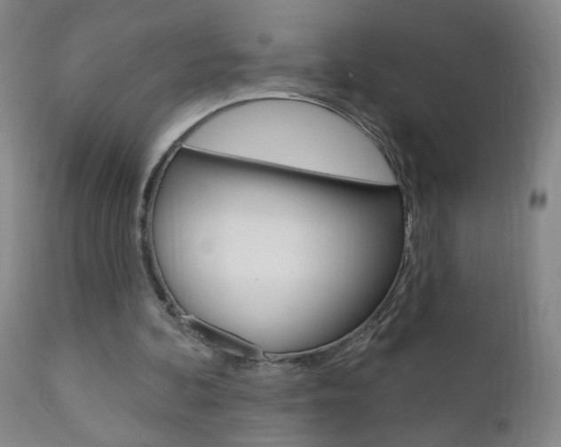 X0000110940292200906191057