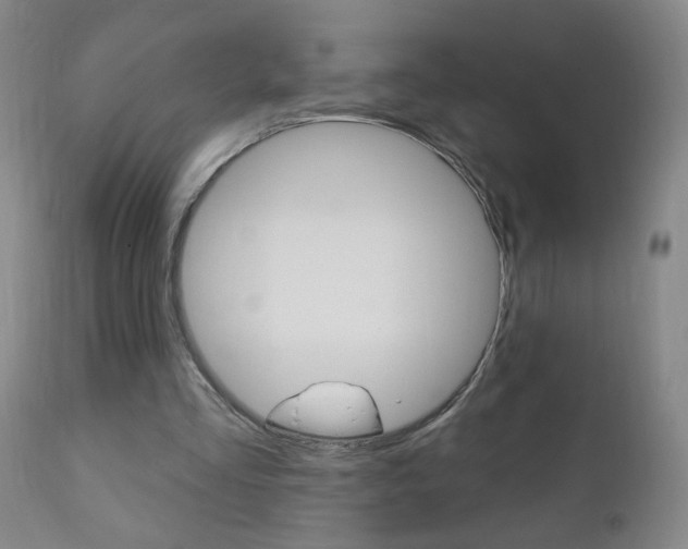 X0000110940293200906191057