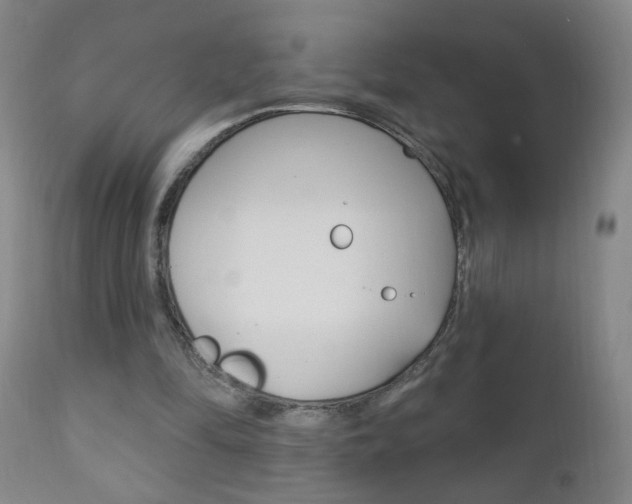 X0000110940294200906191057