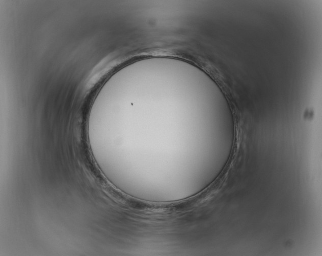 X0000110940295200906191057
