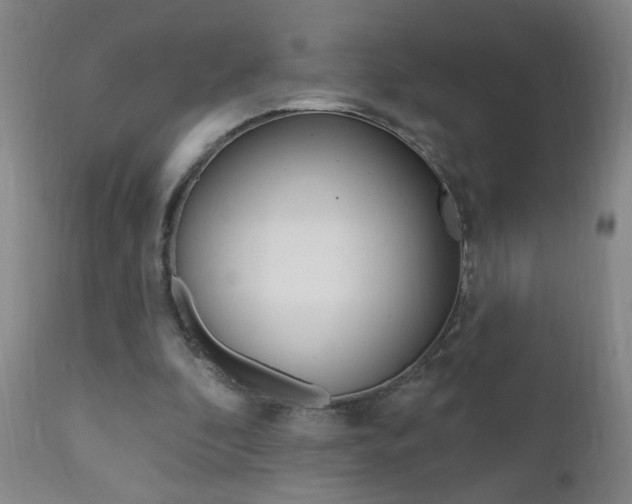 X0000110940296200906191057